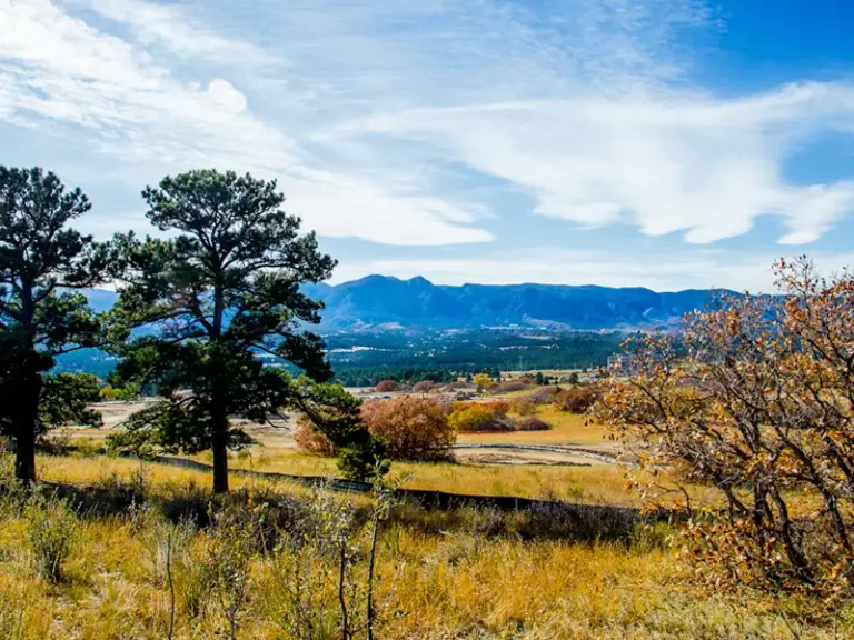 O|NE La Plata, The Farm O|NE La Plata, The Farm