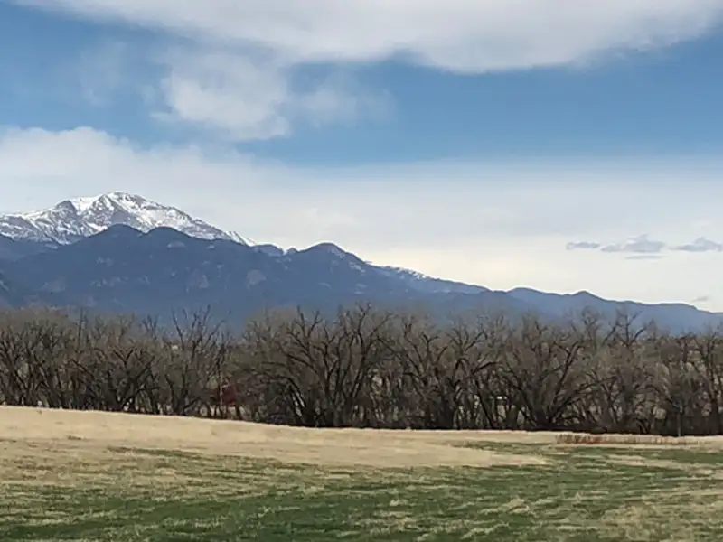 ONE| La Plata, Amara