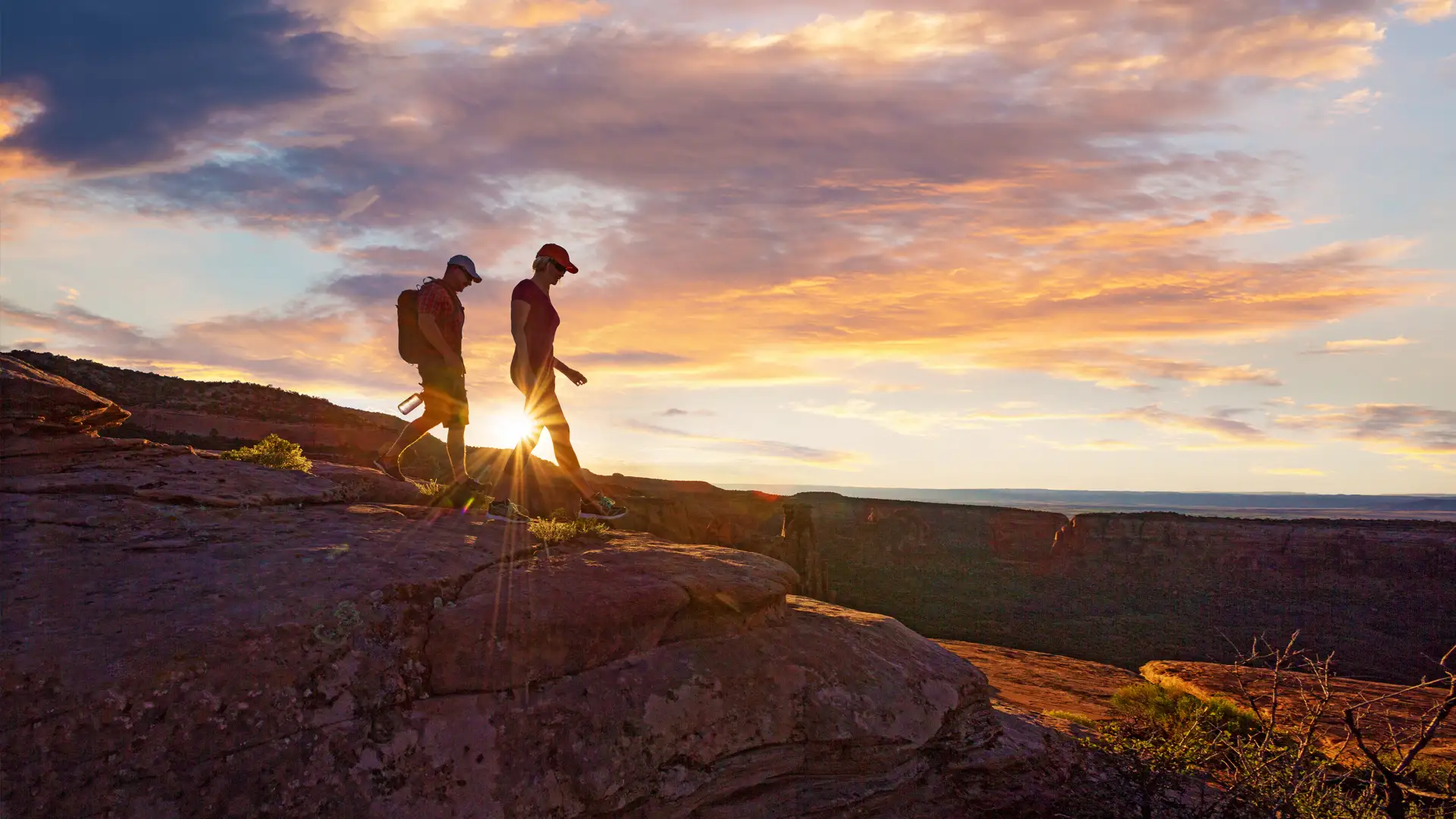 ONE| La Plata, full-service real estate and development firm