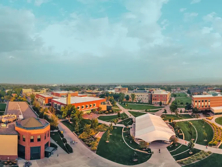 one-la-plata-portfolio-colorado-mesa