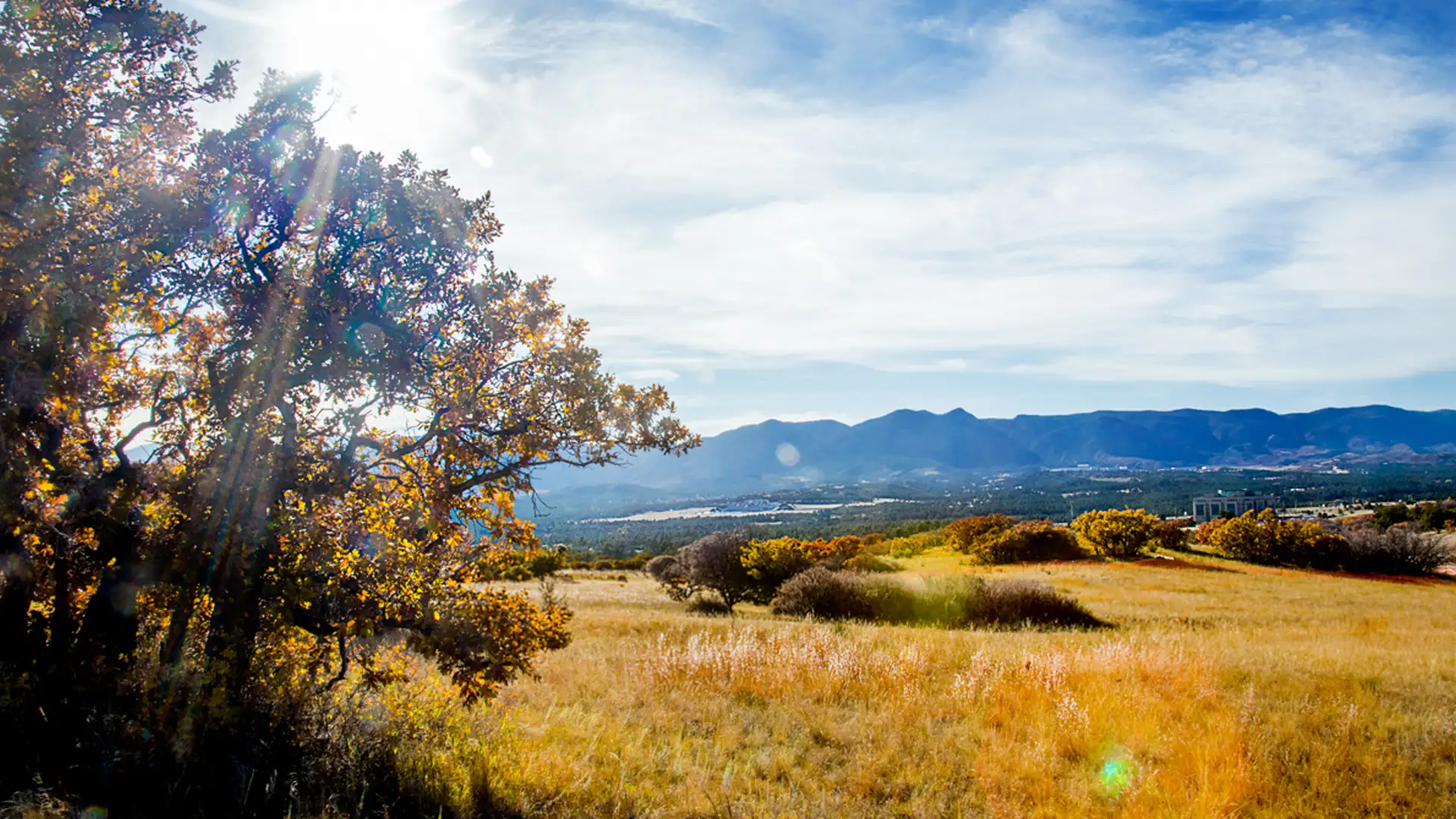 O|NE La Plata, a full-service real estate and development firm